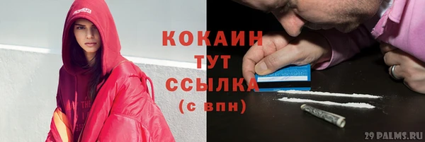 дживик Абаза