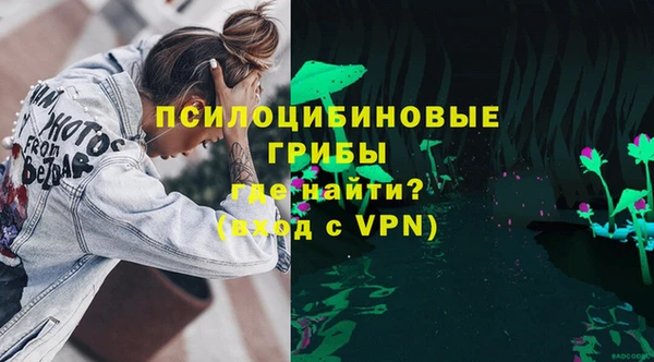 apvp Алзамай