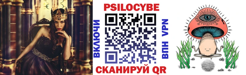 Галлюциногенные грибы Psilocybe  купить  сайты  маркетплейс как зайти  Раменское 