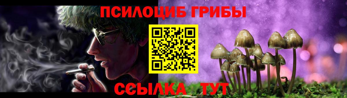 Псилоцибиновые грибы GOLDEN TEACHER  Вход с VPN  Раменское 